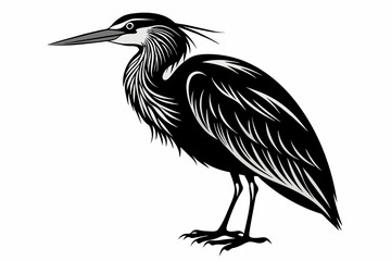 Indian pond heron or paddy bird black silhouette vector design.