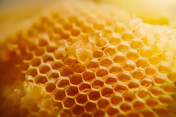 Fotobehang Close-up View of Honeycomb Structure in Warm Golden Light © slonme