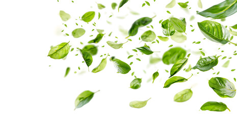 Scattered Green Leaves on a Light Background for Fresh Concepts