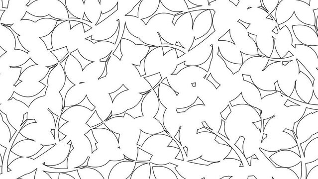 Animated linear floral background. Line black leaves on branch is drawn gradually. Concept of gardening, ecology, nature. Vector illustration isolated on white background.
