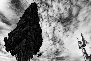 Angel and cypress in the Alhambra cemetery