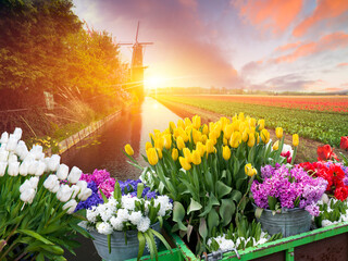 A picturesque natural landscape of a field of colorful flowers with a charming windmill in the background, under a sky filled with fluffy clouds on a peaceful morning - 773339761