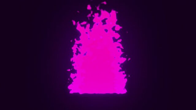 Abstract pink flames sway gracefully against a dynamic black backdrop.