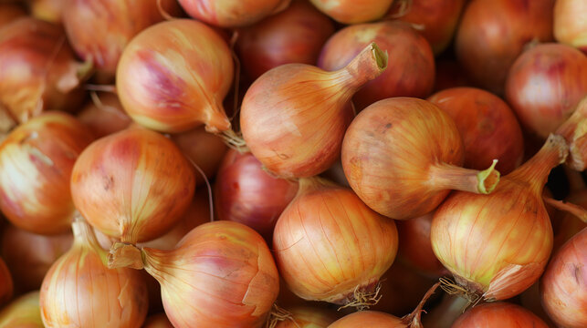 Zbliżenie na dorodne cebule