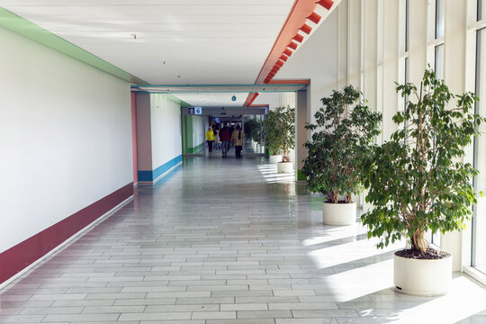 Long bright hall corridor with large windows and green plants in Herlev hospital.