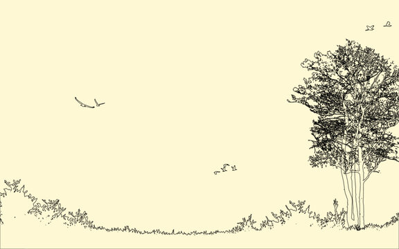 Line vector scenary background silhouette wallpaper birds trees beautiful nature scene outline illustration for poster banner web wallpaper