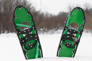 snowshoes on the snow