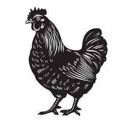 Cock vecot  balck and white colour 
