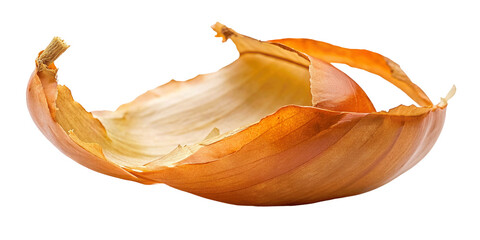 Onion peel or skin isolated on Transparent background. - obrazy, fototapety, plakaty