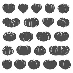 Set of black and white illustrations with tomatoes. Isolated vector objects on white background. - 773354195