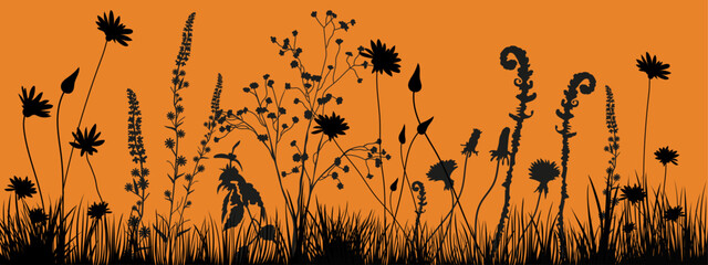 Background with black silhouettes of meadow wild grasses and wildflowers. Floral background. Nature decor element for banners, advertising, leaflet, cards, invitation, congratulation and so on. © Loya.art