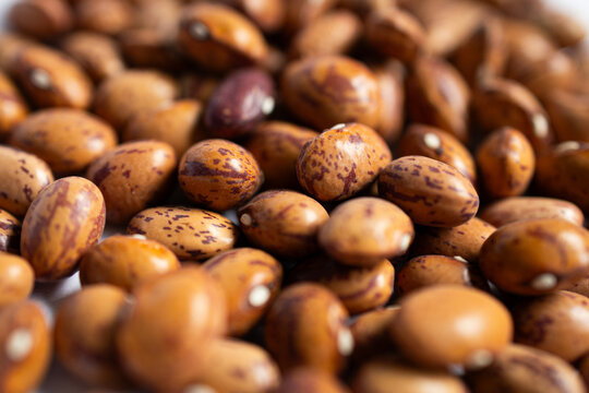 Pinto Beans closeup background photo 