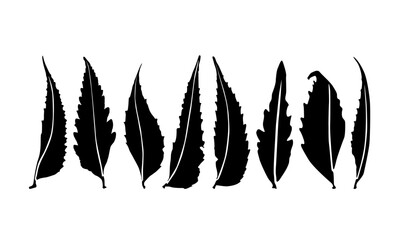 neem imprints leaves design. neem leafs vector. neem silhouette vector.  - obrazy, fototapety, plakaty