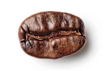 Single coffee bean macro, golden roasted grain on white. Espresso seed isolated, cafe quality, top...