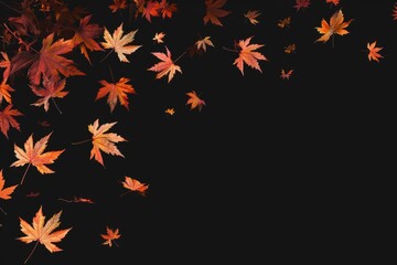 Maple leaves falling in the air, on a black background Generative AI