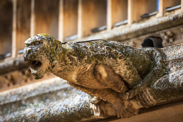 Stone gargoyle from a medieval Spanish cloister in the shape of a mythological beast