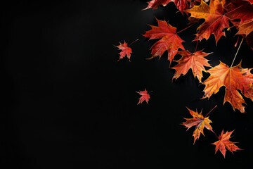 A few maple leaves fall from the upper corner of an isolated black background Generative AI - obrazy, fototapety, plakaty