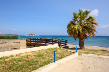Palm tree growing on the Kefalos beach. Kos island, Greece