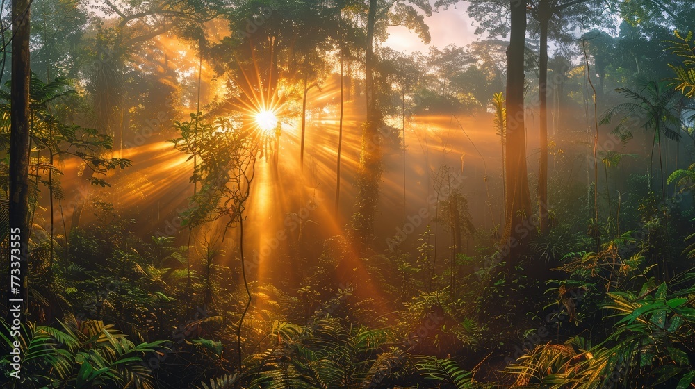 Poster the sun is shining through the trees, casting a warm glow on the forest floor. the light is creating
