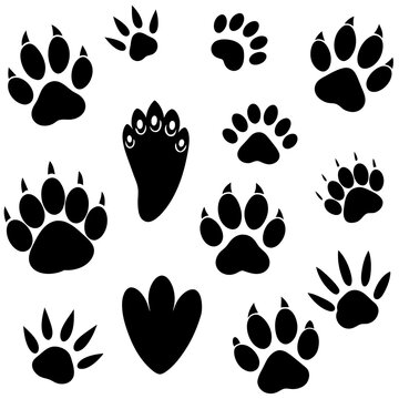 big set of Footprints of domestic and wild animals silhouette vector art illustration