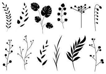 black and white silhouettes of plants. leaf isolated on white background. illustration of a green leaf. Flowers set vector illustration. Neutral flowers, minimalism.