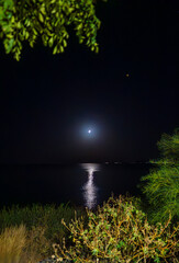 The moon shines at night over the coast in the tropics.