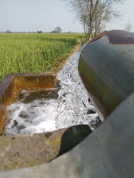 water flowing into the tubule