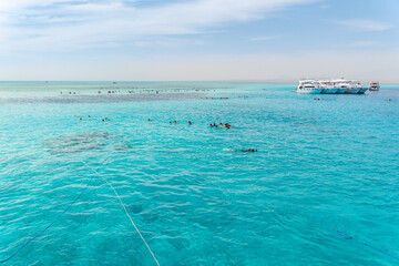 Diving in the red sea, Sharm El Sheikh, resort in Egypt, vacation by the sea