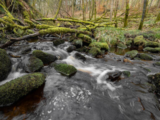 Fototapeta premium Mountain river in England, dreamy scenery, moss-covered stones and beautiful waterfall in the forest. Sunny creek in spring cloudy Yorkshire evening. small cascade surrounded by moss and autumn leaves