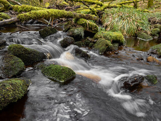 Mountain river in England, dreamy scenery, moss-covered stones and beautiful waterfall in the forest. Sunny creek in spring cloudy Yorkshire evening. small cascade surrounded by moss and autumn leaves