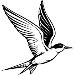 tern fly silhouette vector art illustration