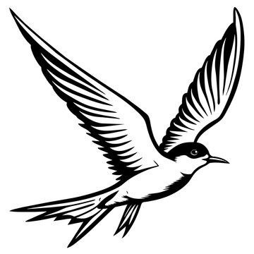 recommend clip art: tern fly silhouette vector art illustration