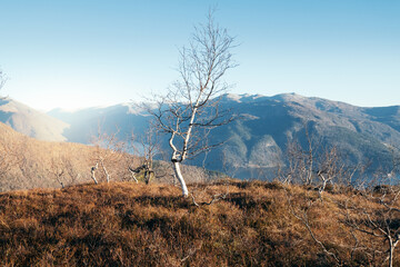 Winterwonderland in Balestrand - Norway