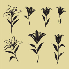 Lily flower silhouette set clipart 