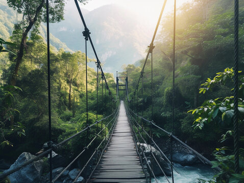 Suspension Bridge in Lush Green Forest