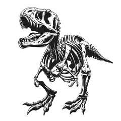 Tyrannosaurus rex isolated on white background. Vector illustration