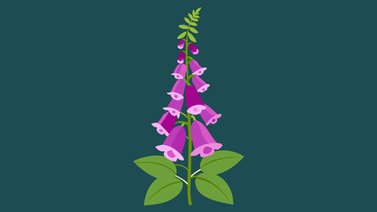 Exquisite Foxglove Flower Vector Illustrations Elevate Your Design with Stunning Botanical Art © mahira