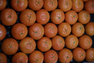 Tarocco oranges in a storehouse packaged ready exportation