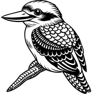 recommend clip art: kookaburra silhouette vector art illustration