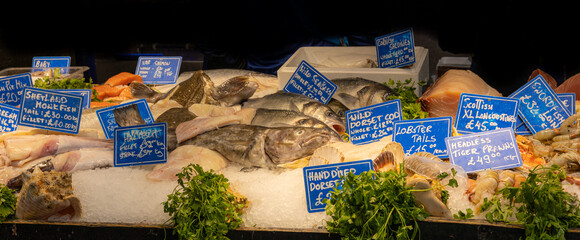 Variety of sea fishes on the counter, all fresh and ready to cook