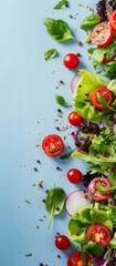 fresh chopped vegetables for salad background.