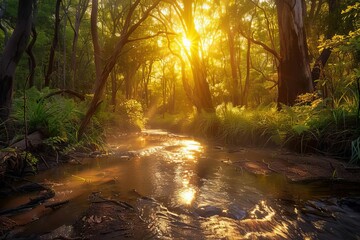 Sunlit forest creek with warm, golden light filtering through trees, landscape photography - obrazy, fototapety, plakaty
