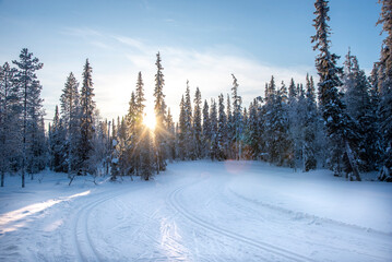 Winter landscape in Lapland Finland