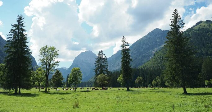 Naturpark Karwendel in &Ouml;sterreich. Ausgedehnte Wiesen und gr&uuml;ne Weiden des Falzthurntals mit Blick auf den Gipfel von Sonnjoch und Schaufelspitze oberhalb Pertisau am Achensee
