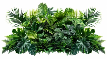 Lush tropical jungle foliage arrangement isolated on white, nature backdrop for product showcase or design element