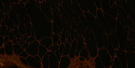 A Visual Delight of Texture and Color in Liquid Art