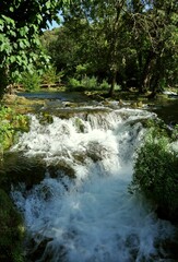 Fototapeta na wymiar Wodospady Krka w Chorwacji.