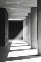 A monochromatic image showcasing a lengthy hallway with stark contrasts and repeating elements stretching into the distance