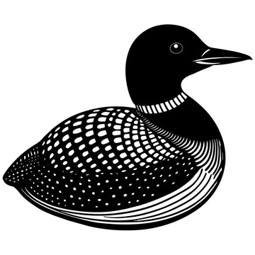 recommend clip art:  loon silhouette vector art illustration