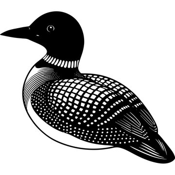 recommend clip art:  loon silhouette vector art illustration